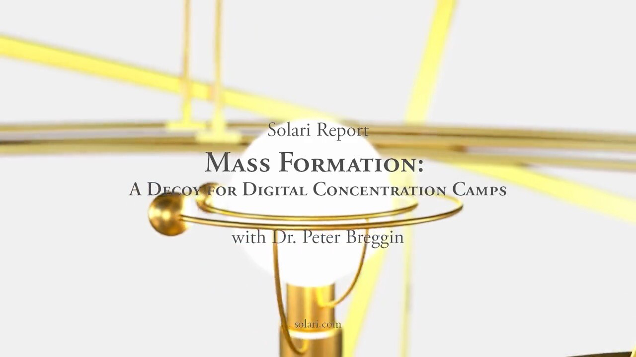 Special Solari Report: Mass Formation: A Decoy for Digital C...