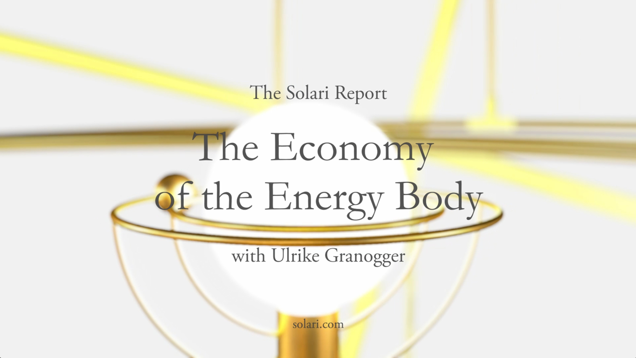 The Economy of the Energy Body with Ulrike GranÃƒÂ¶gger