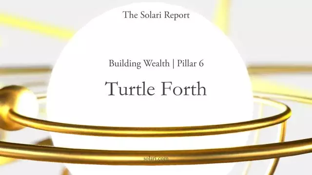 Building Wealth | Pillar 6 - Turtle Forth