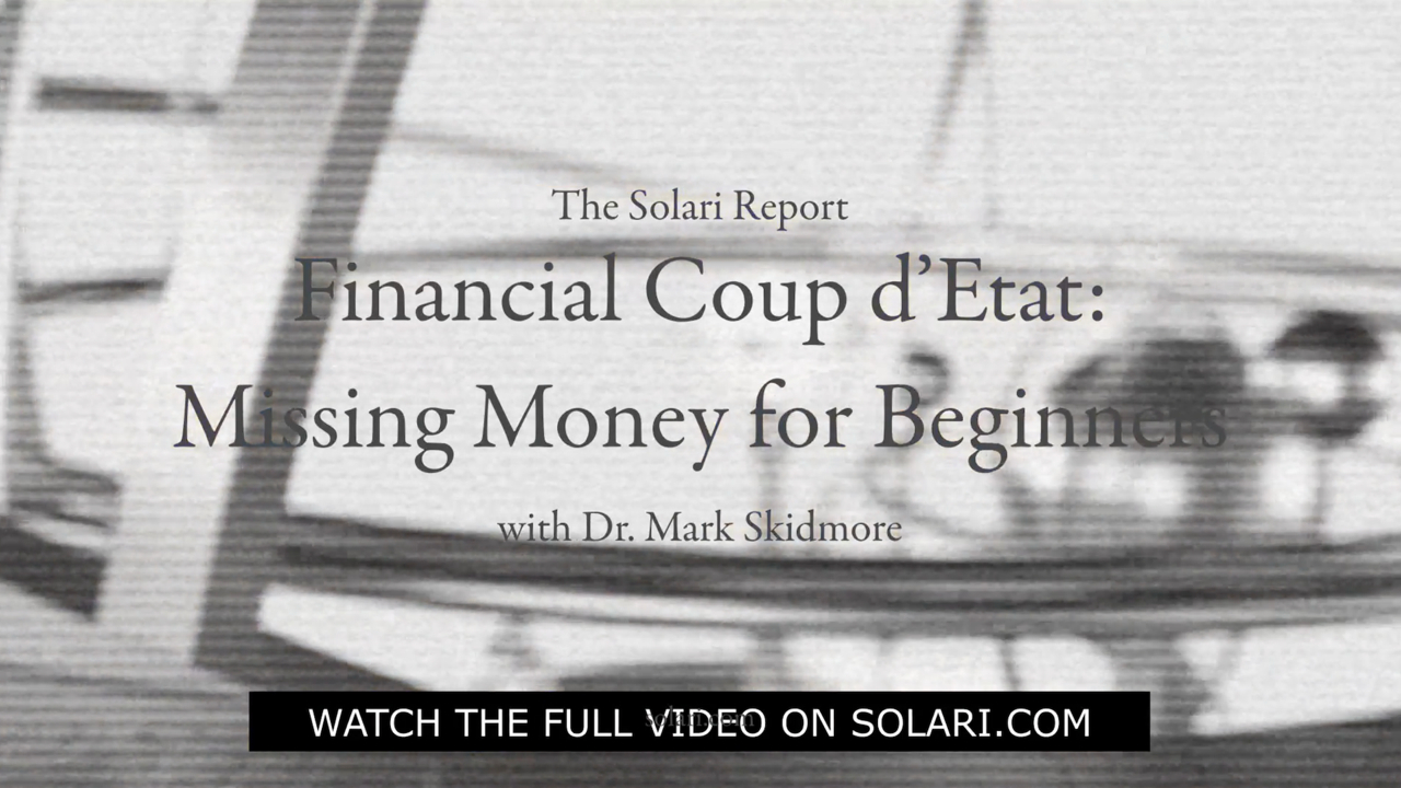 Financial Coup d’Etat: Missing Money for Beginners with Dr. Mark Skidmore - Shorty