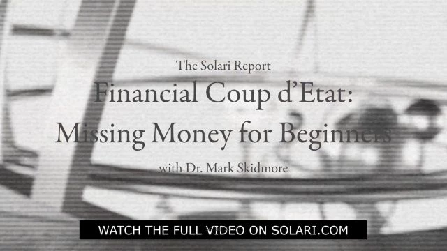 Financial Coup dÃ¢â‚¬â„¢Etat: Missing Money for Beginners with Dr. Mark Skidmore - Shorty