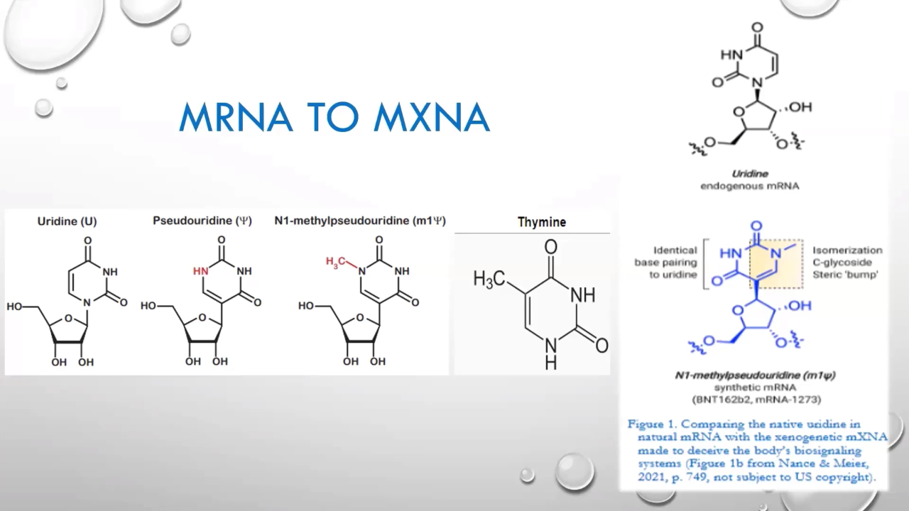 Future Science Series: “Unknown Ingredients”: mXNA and the Kozak Sequence with Daniel Santiago