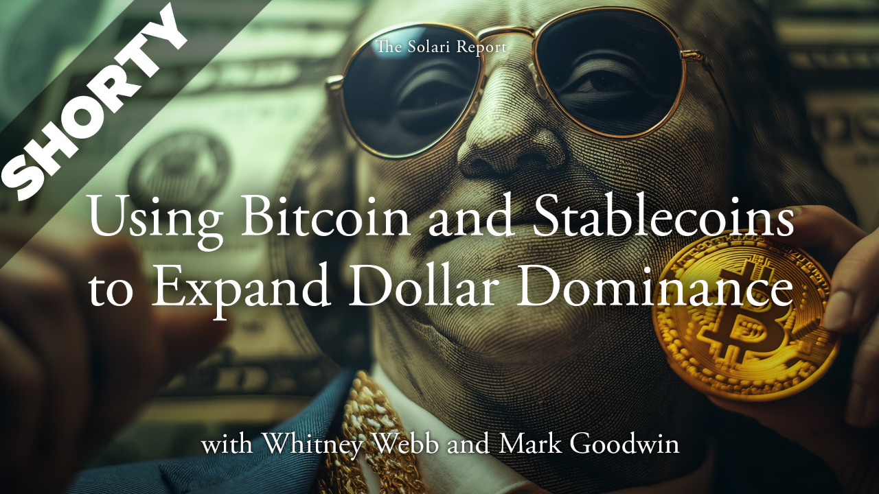 Using Bitcoin and Stablecoins to Expand Dollar Dominance with Whitney Webb and Mark Goodwin - Shorty