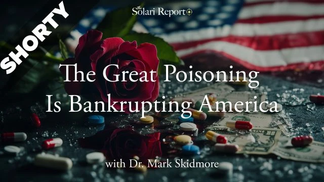 The Great Poisoning Is Bankrupting America with Dr. Mark Skidmore - Shorty